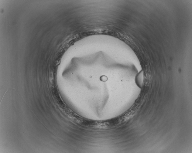 X0000067920656200605112009