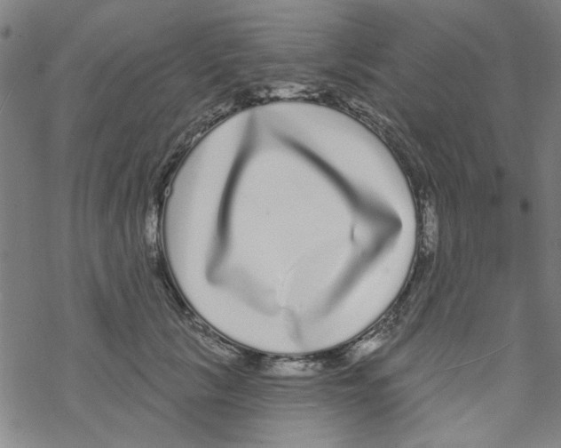 X0000067920657200605112010