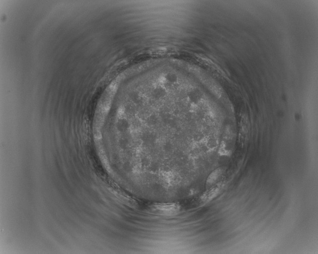 X0000067920659200605112010