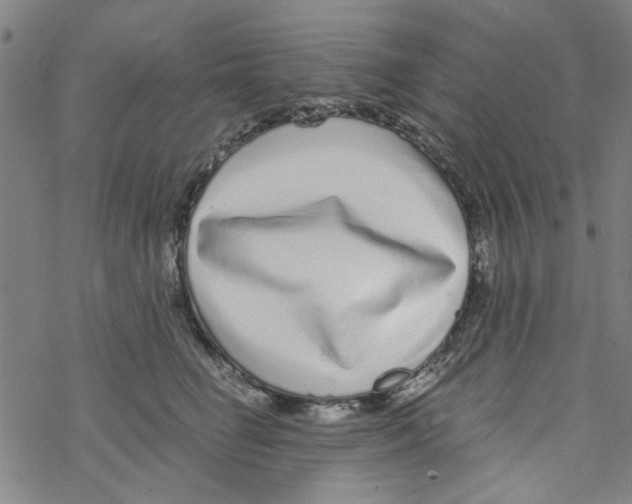 X0000067920662200605112010