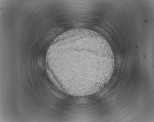 X0000067920663200605112010