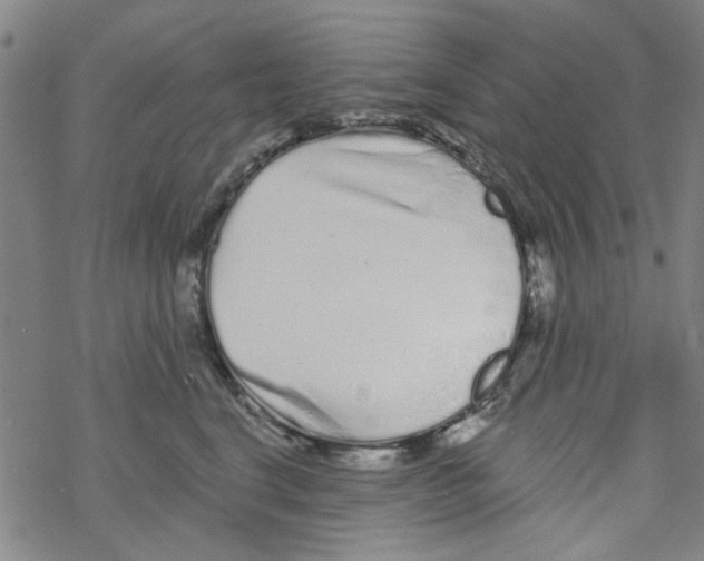 X0000067920664200605112010