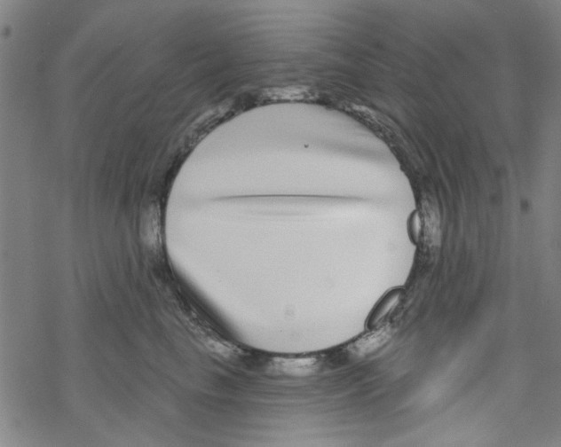 X0000067920665200605112010