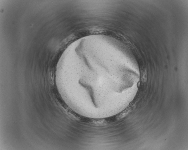 X0000067920666200605112010