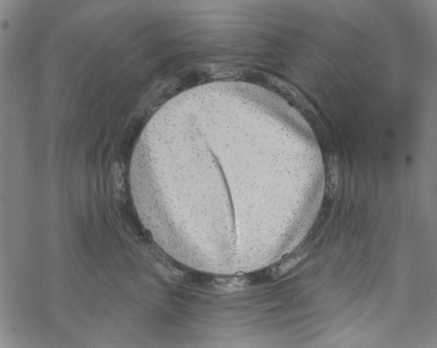 X0000067920667200605112010