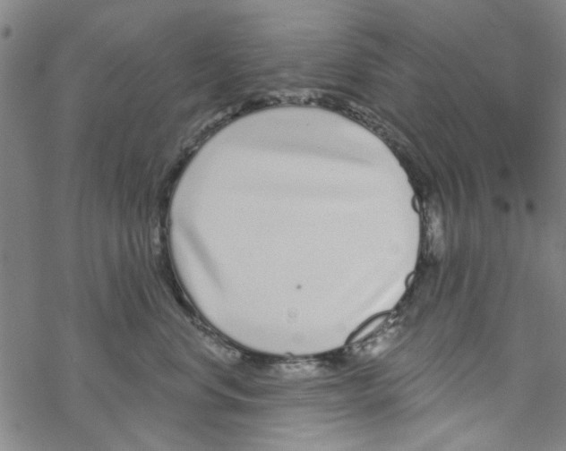 X0000067920668200605112010