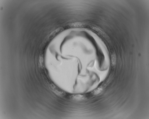 X0000067920669200605112010