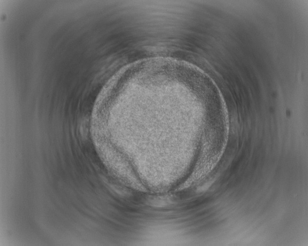 X0000067920671200605112010