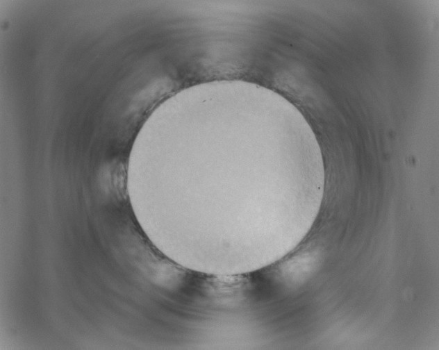 X0000067920672200605112010