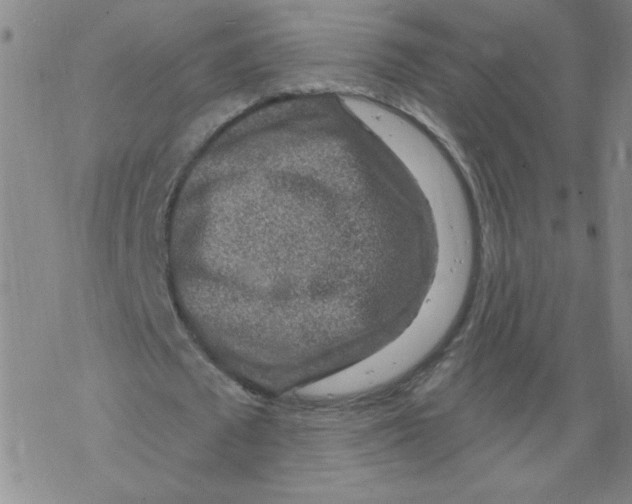 X0000067920673200605112009