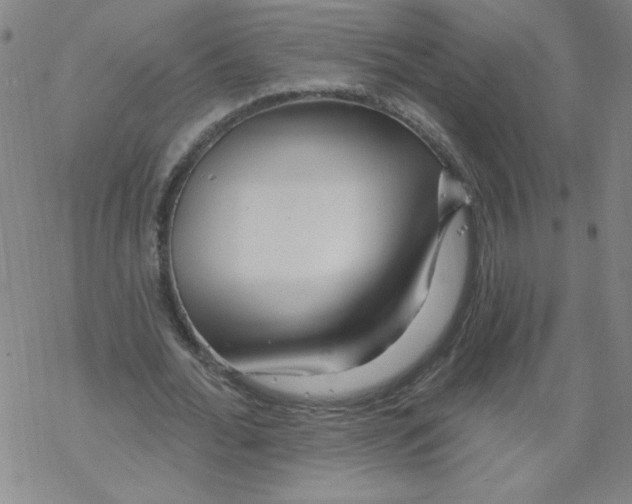 X0000067920676200605112009