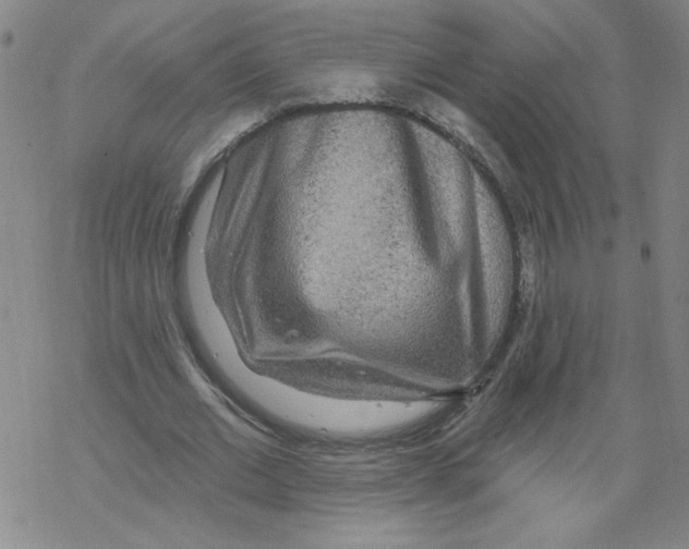 X0000067920677200605112009