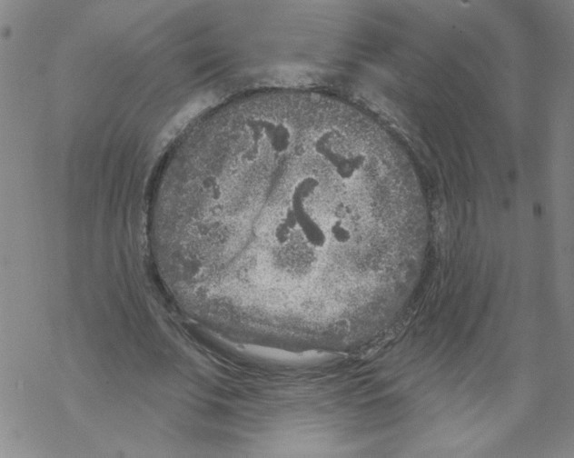 X0000067920679200605112009