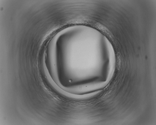 X0000067920680200605112009