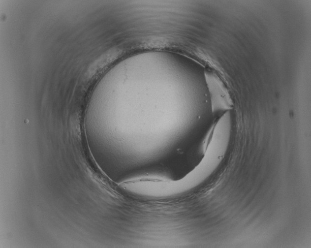 X0000067920681200605112009