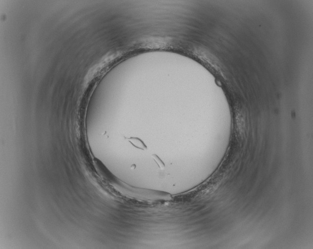 X0000067920682200605112009