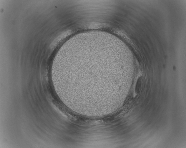 X0000067920683200605112009