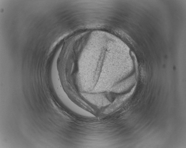 X0000067920684200605112009