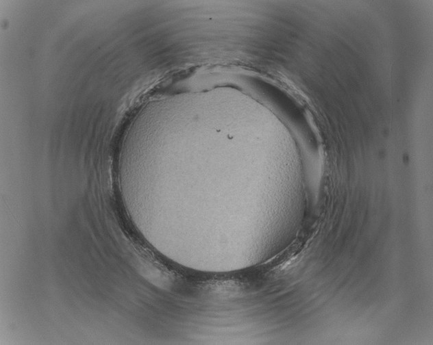 X0000067920685200605112009