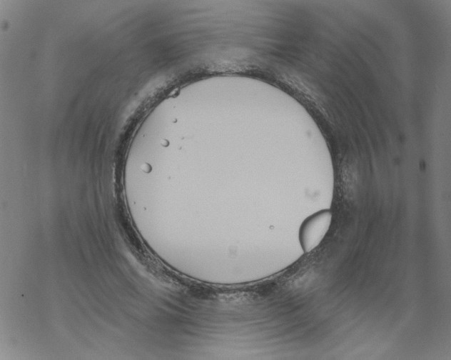 X0000067920686200605112009