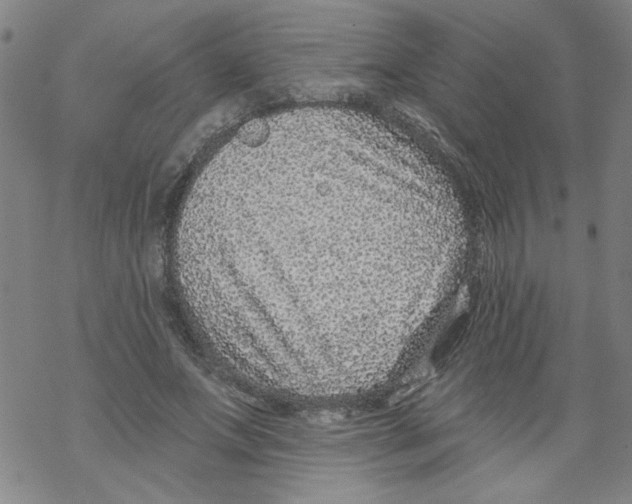 X0000067920687200605112009