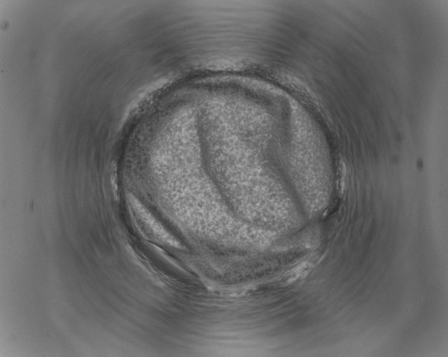 X0000067920688200605112009