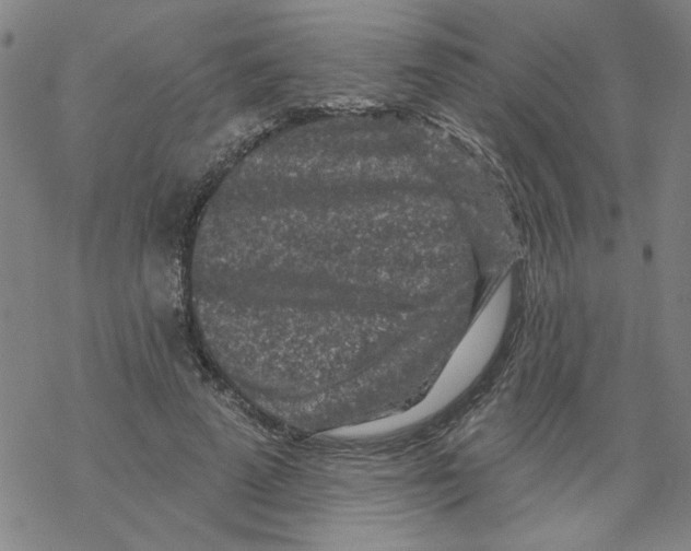 X0000067920689200605112009