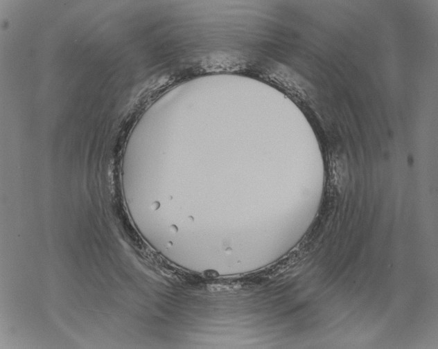 X0000067920690200605112009