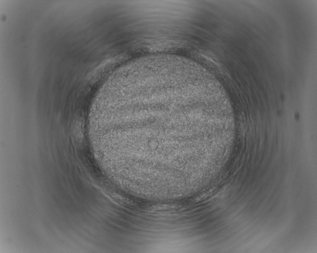 X0000067920691200605112009