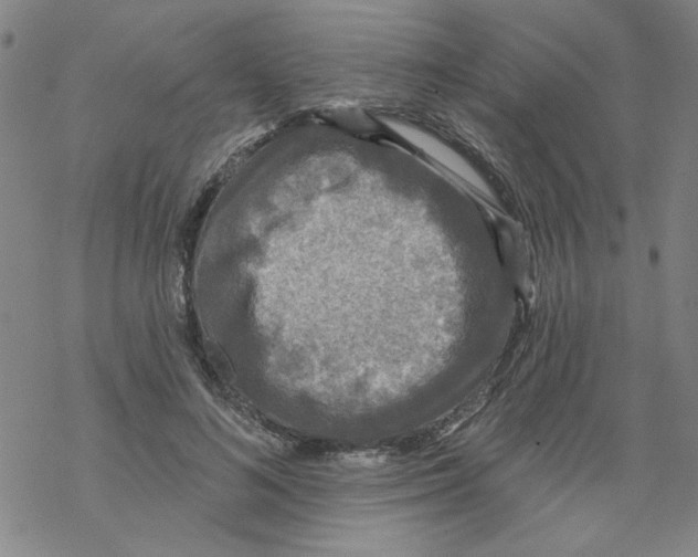 X0000067920692200605112009