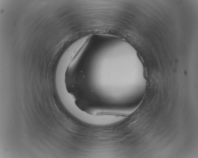 X0000067920693200605112009