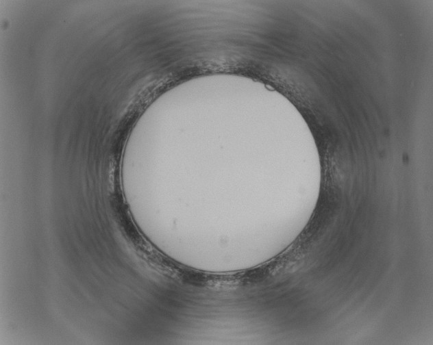 X0000067920694200605112009