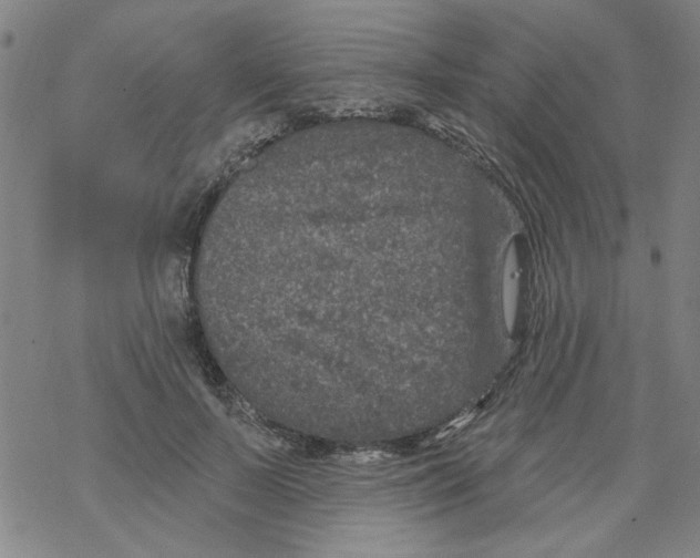 X0000067920695200605112009