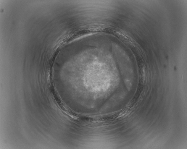 X0000067920696200605112009