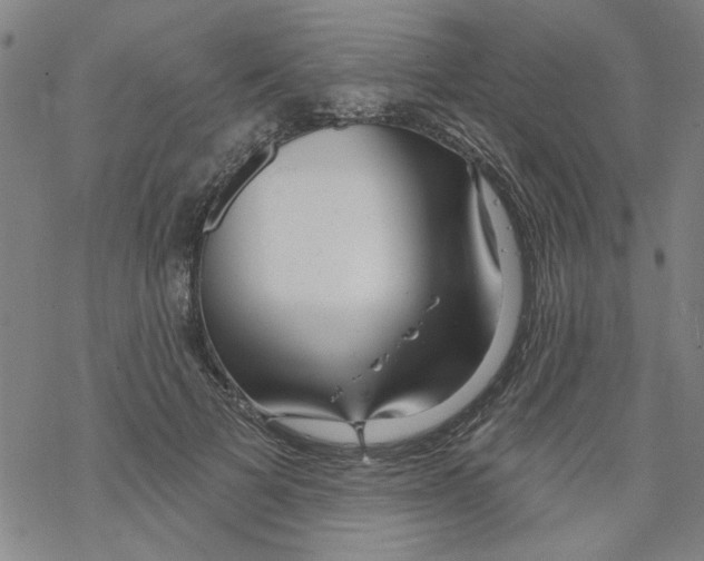 X0000067920697200605112009