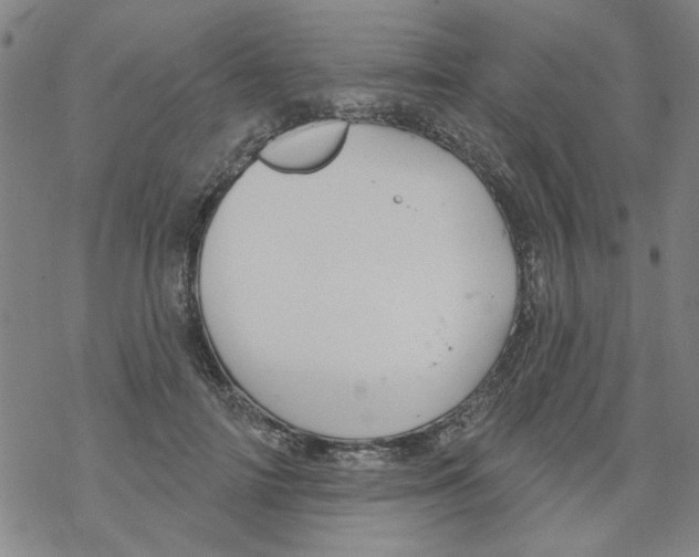 X0000067920698200605112009