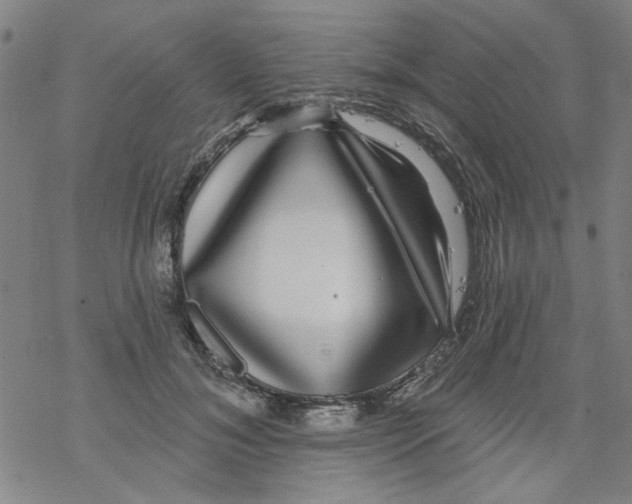 X0000067920700200605112009