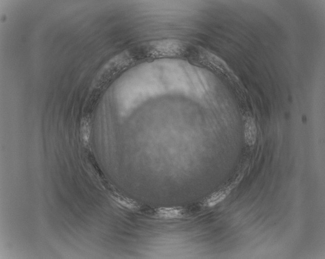 X0000067920701200605112009