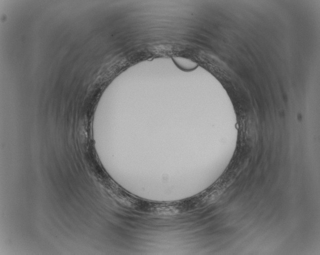 X0000067920702200605112008