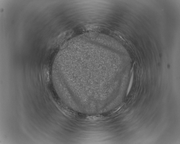 X0000067920703200605112008