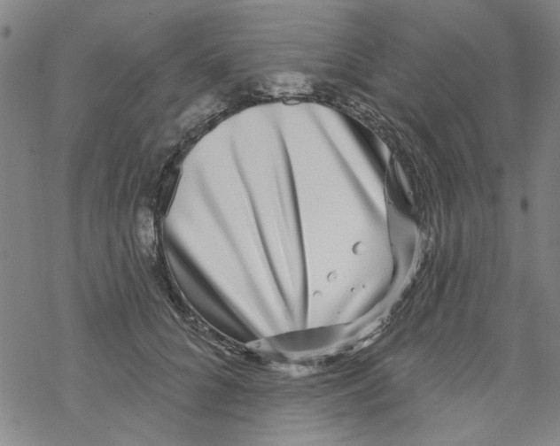 X0000067920704200605112008