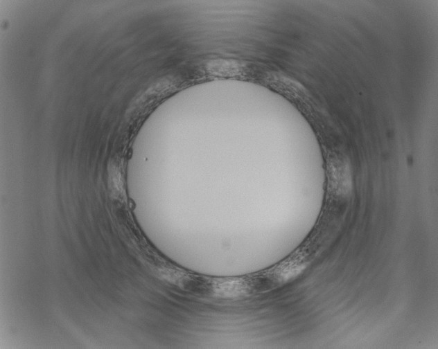 X0000067920705200605112008