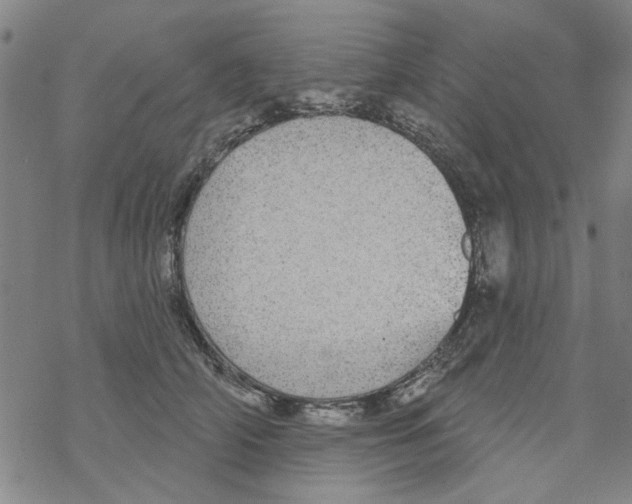 X0000067920706200605112008