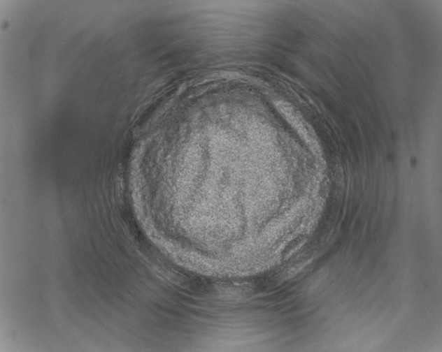 X0000067920707200605112008