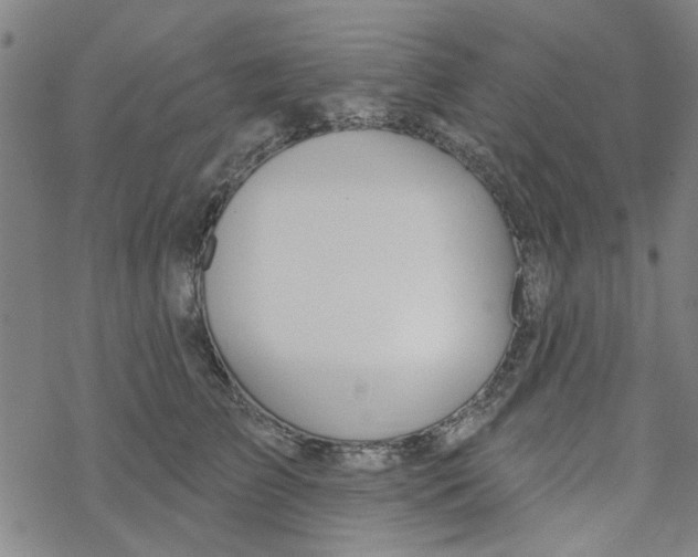 X0000067920709200605112008