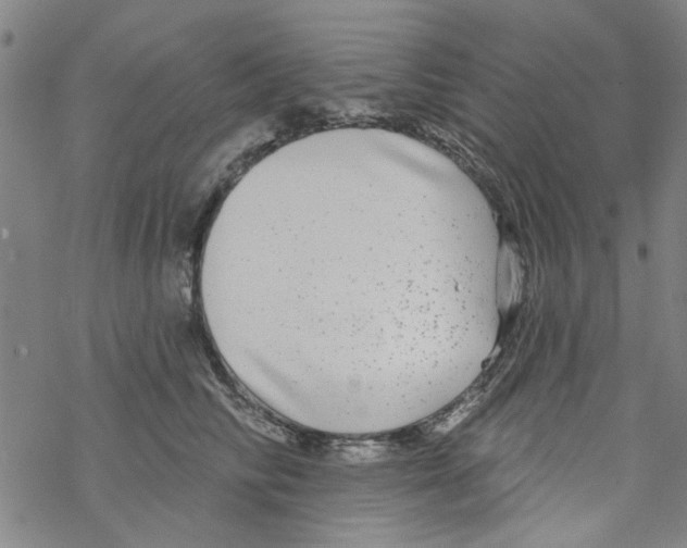 X0000067920710200605112008