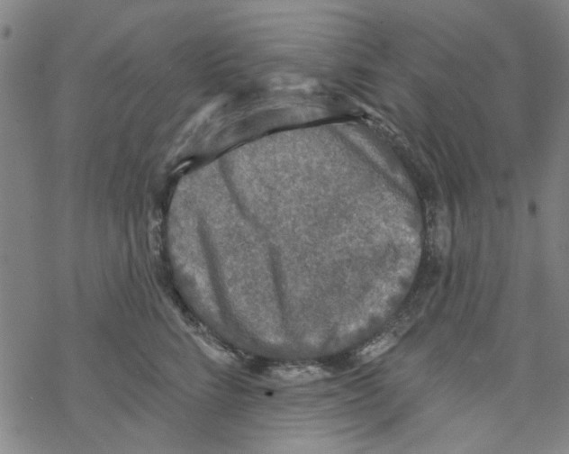 X0000067920712200605112008