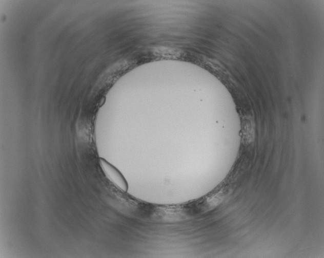 X0000067920713200605112008