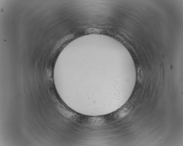 X0000067920714200605112008