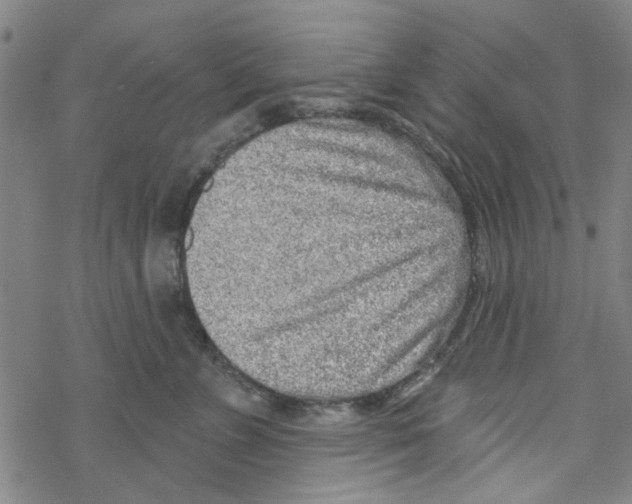 X0000067920715200605112008